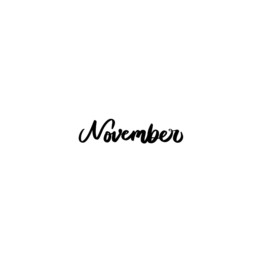 NOVEMBER 2025