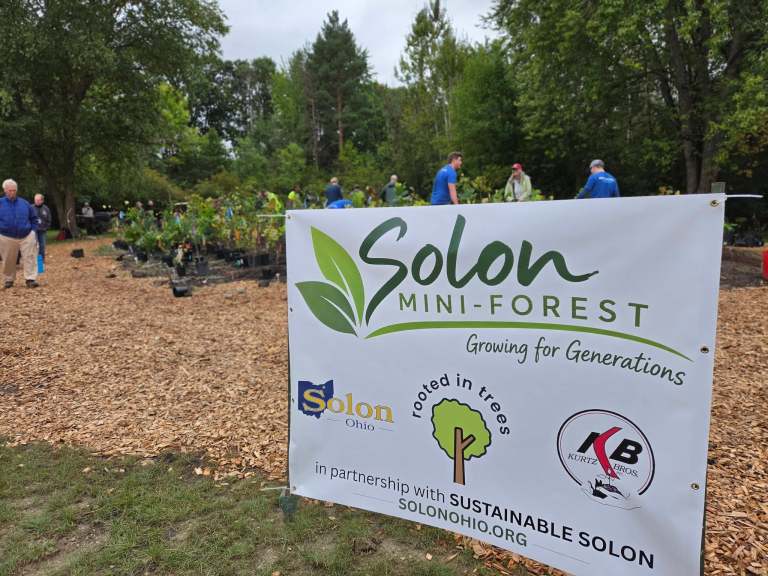 Helping Solon’s Mini-Forest Take Root